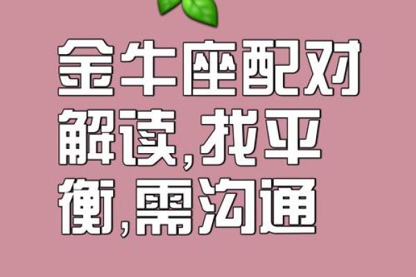白羊金牛座配对