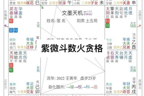 紫薇斗数科