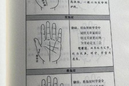 看手相算命大师免费下载