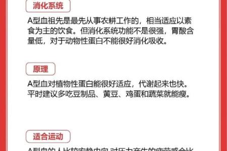 血型人吃对食物倍儿瘦