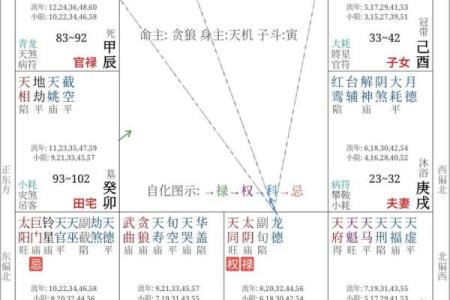 紫薇斗数博士学历