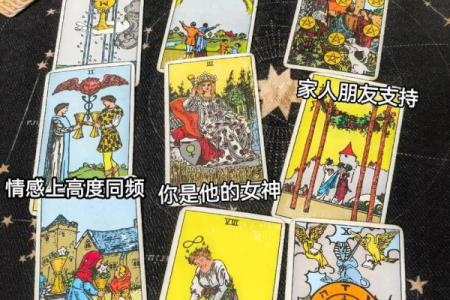塔罗测试命中注定的伴侣