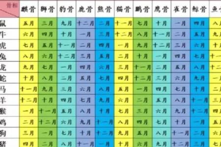 骨命算命表,骨相算命表龙骨