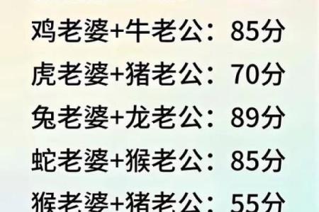 生肖配对，是什么道理？啥属相不合？终于明白了