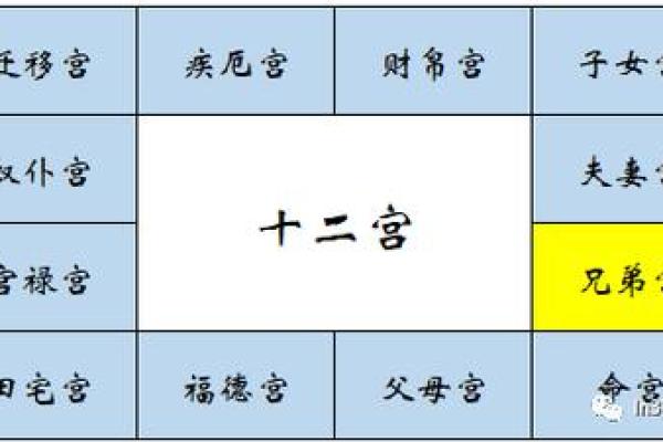 紫微斗数诸星落诸宫之：巨门星兄弟宫详解
