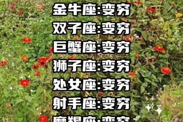 十二星座谁最傻排名