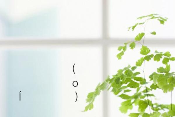 月老灵签36签解签