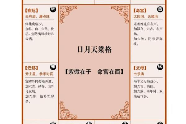 紫薇斗数天罗地网