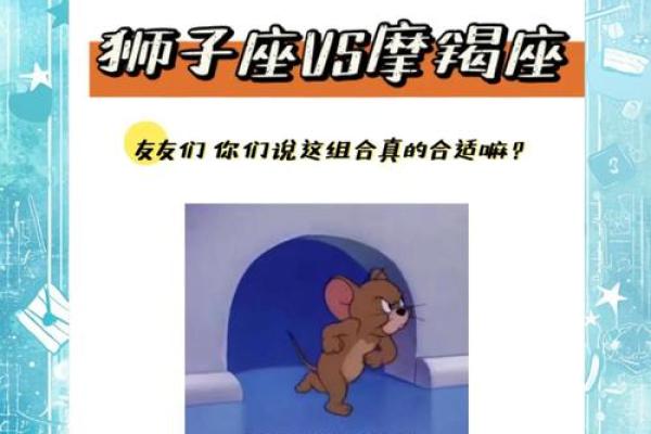 狮子座和摩羯座的配对指数