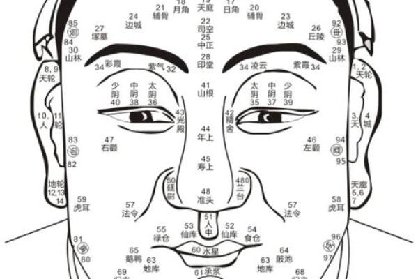 人中看相算命图解大全