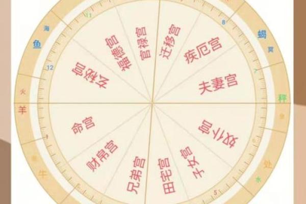 星盘十二宫代表什么 十二宫位详解