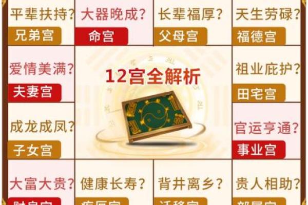 张盛舒免费测算紫微斗数 紫微科技斗数张盛舒？