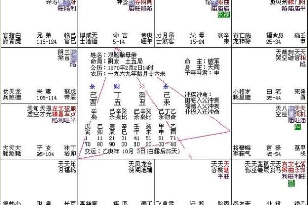 紫薇斗数命盘带帝旺是什么意思