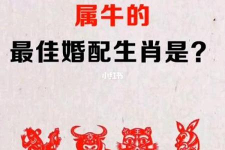 属牛和什么属相最配对 属牛和什么属相相冲