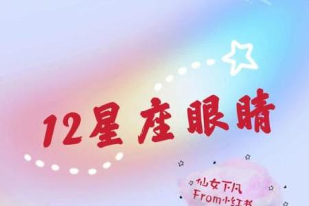 代表十二星座的眼睛是什么？