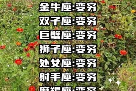 十二星座谁最傻排名