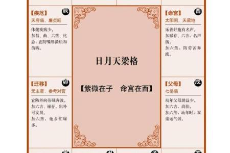 紫薇斗数天罗地网