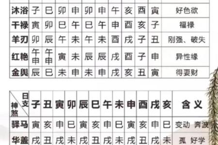 酉戌害八字