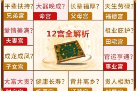 张盛舒免费测算紫微斗数 紫微科技斗数张盛舒？