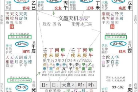 紫薇星盘查询免费