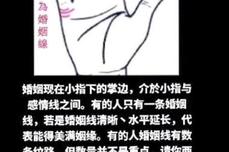 男人左手手相算命图解 婚姻线清晰无曲折象征幸福