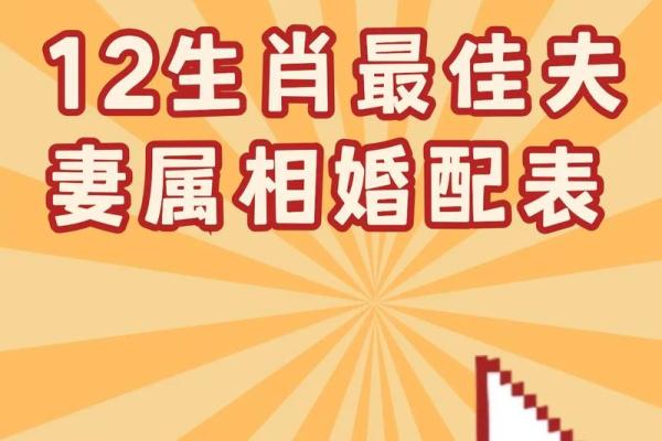 最佳的十二生肖婚姻配对大全