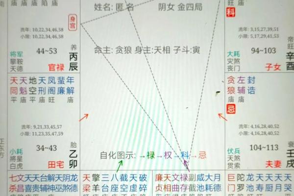 紫薇斗数入库忌