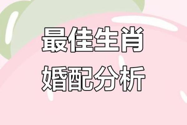 哪个属相夫妻配对好？这5对简直绝配，在一起就不会分开