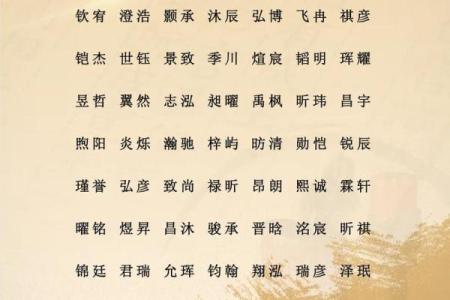 2019年5月1号丑时出生的男孩起名时要注意什么姓名