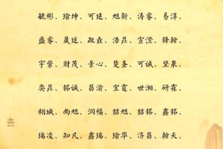 2019年5月30号丑时出生的男孩应该起什么样的名字姓名