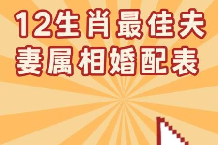 最佳的十二生肖婚姻配对大全