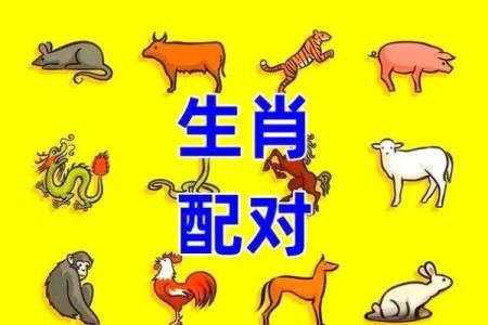 1998年属什么生肖配对 1998年属什么生肖配对男