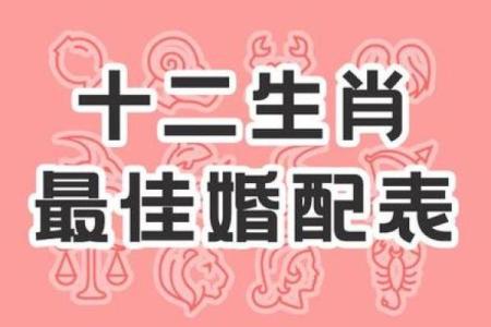 爱情长久的生肖配对