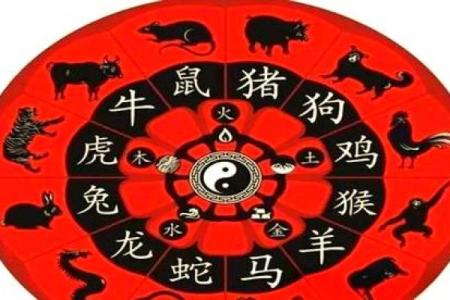 属龙和属狗适合做夫妻吗 配对有什么缺点
