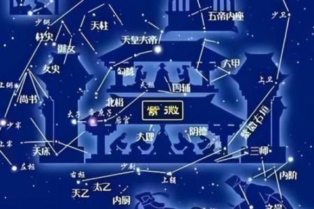 紫薇斗数安非主星