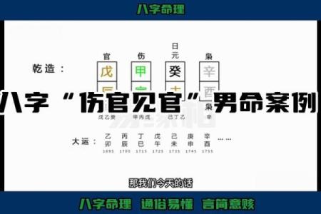 伤官生财的八字命例