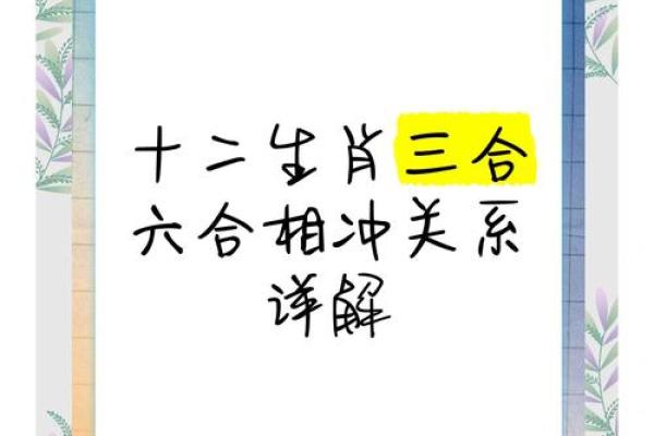 十二生肖属蛇的配对