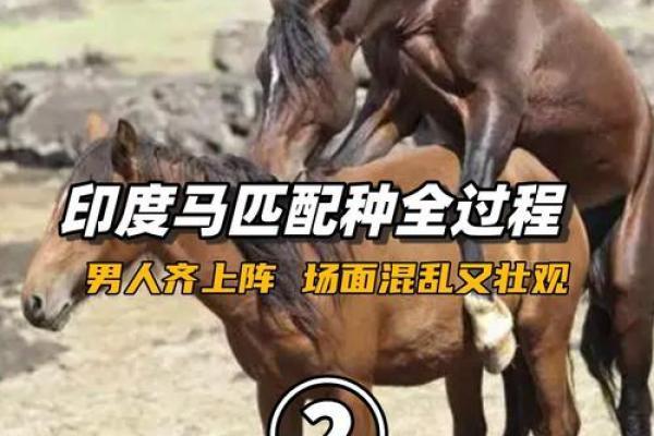 马男生配对姻缘