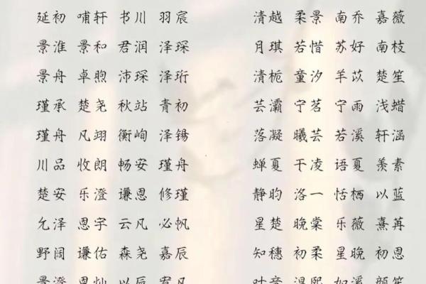 2020年腊月二十八出生男孩缺土新颖好听名字精选姓名