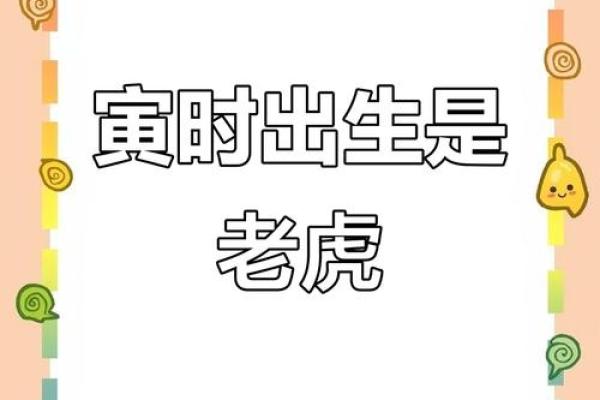 凌晨3点出生的属虎男孩起什么名，用什么字姓名