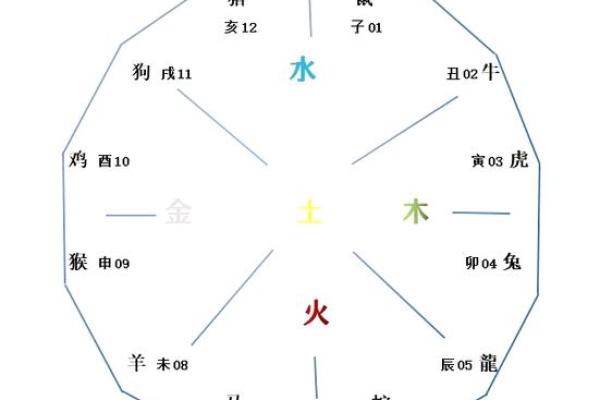 生肖五行配对 五行与十二生肖的搭配方式