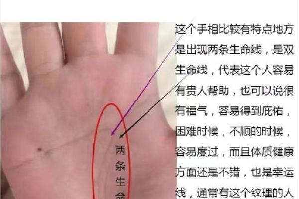 生命线算命：手掌上的玄机真能预测你的命运？