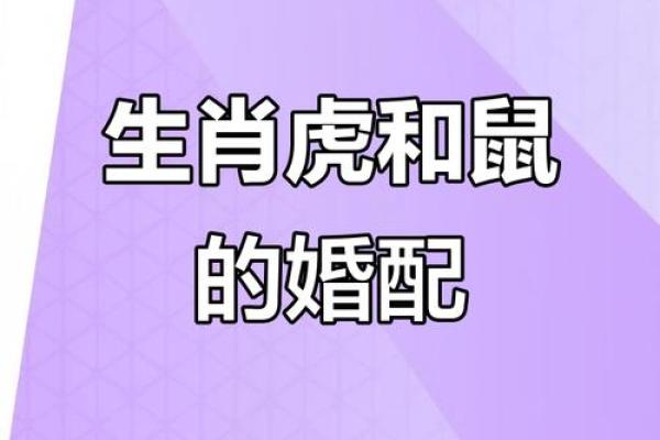 属鼠人招姻缘 属鼠姻缘在哪个方位？