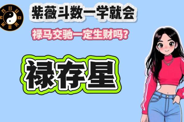 紫微斗数开班 紫微斗数入门教学讲座视频？