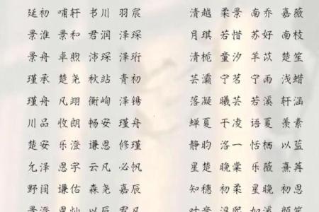2020年腊月二十八出生男孩缺土新颖好听名字精选姓名