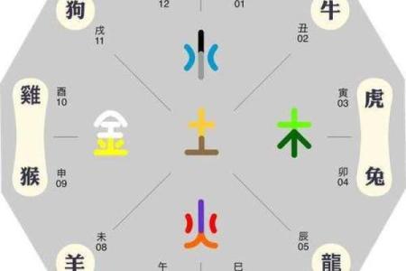 生肖五行配对 五行与十二生肖的搭配方式
