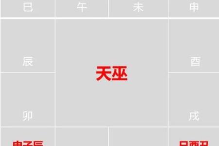 紫微斗数诸星落诸宫之，紫微星：阴土疾厄宫详解