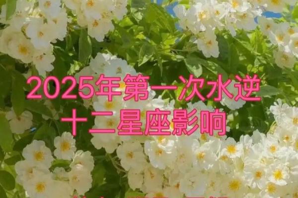 2024年水逆期影响最大的星座 2024年水逆最严重的星座