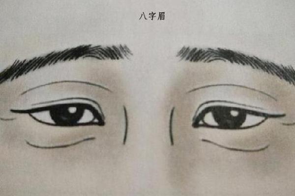 八字眉毛的男人命运好不 可不可以嫁 八字眉毛的男人命运好不 可不可以嫁