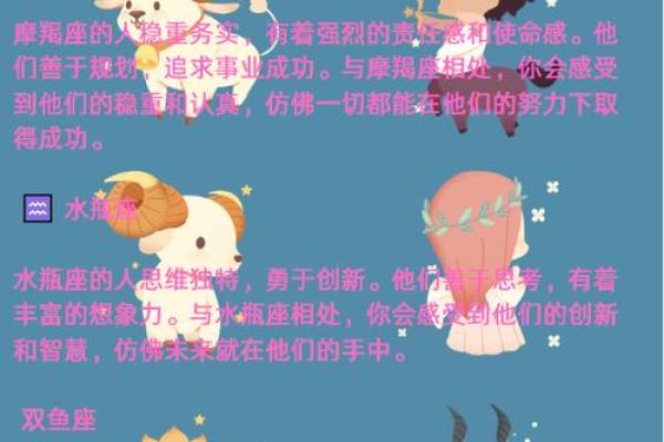 雏菊的星座特点及性格解析，你知道吗？
